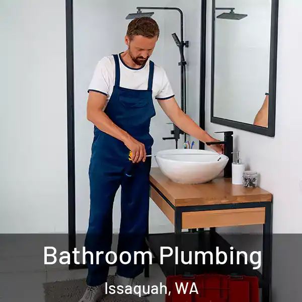  Bathroom Plumbing Issaquah, WA
