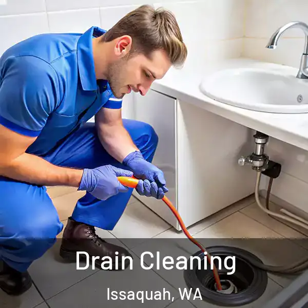  Drain Cleaning Issaquah, WA
