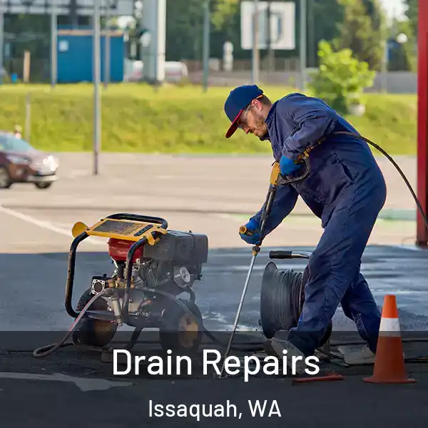  Drain Repairs Issaquah, WA