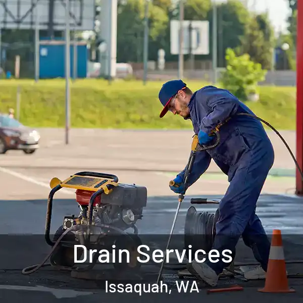  Drain Services Issaquah, WA