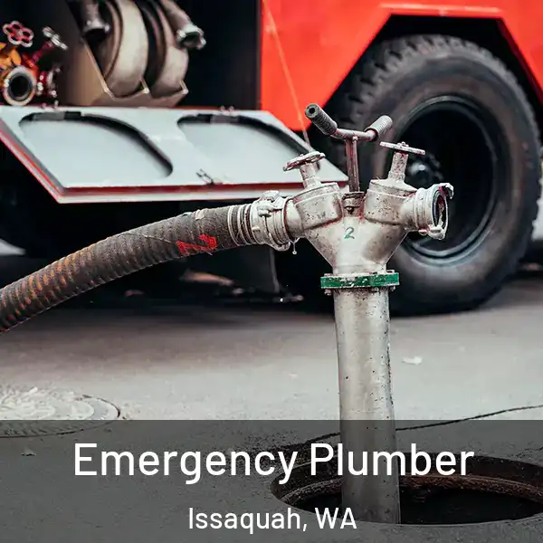  Emergency Plumber Issaquah, WA