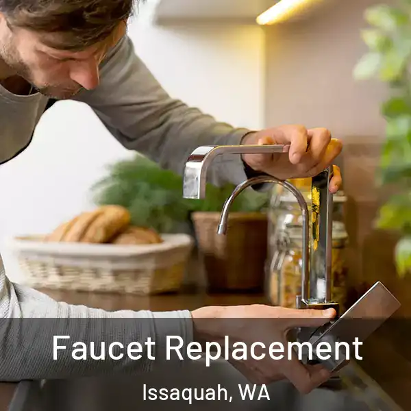  Faucet Replacement Issaquah, WA