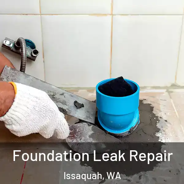  Foundation Leak Repair Issaquah, WA