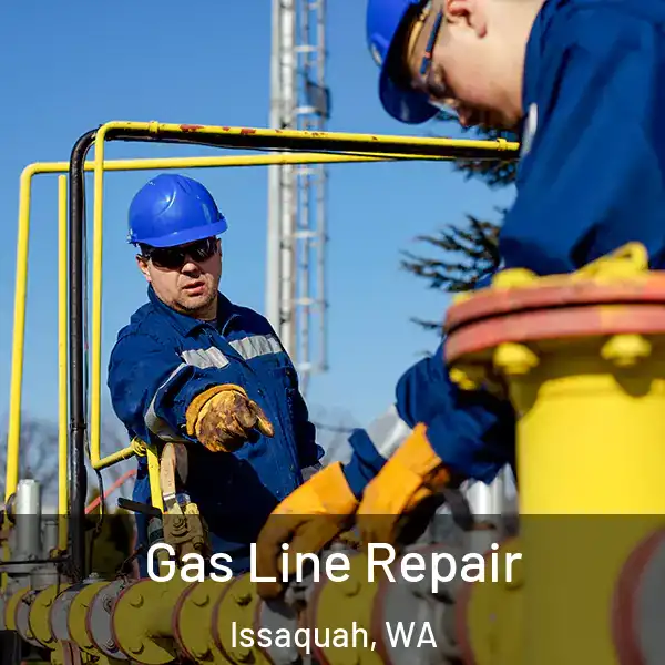  Gas Line Repair Issaquah, WA