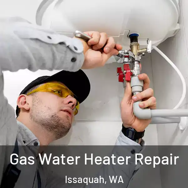  Gas Water Heater Repair Issaquah, WA