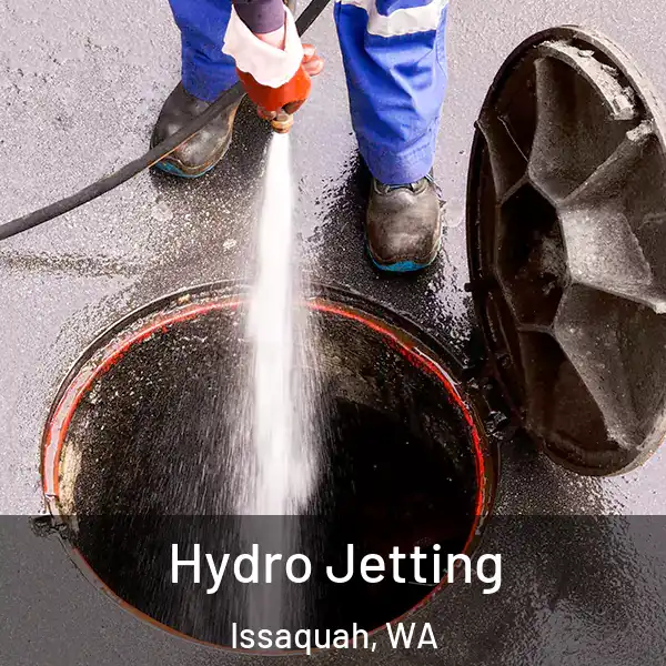  Hydro Jetting Issaquah, WA