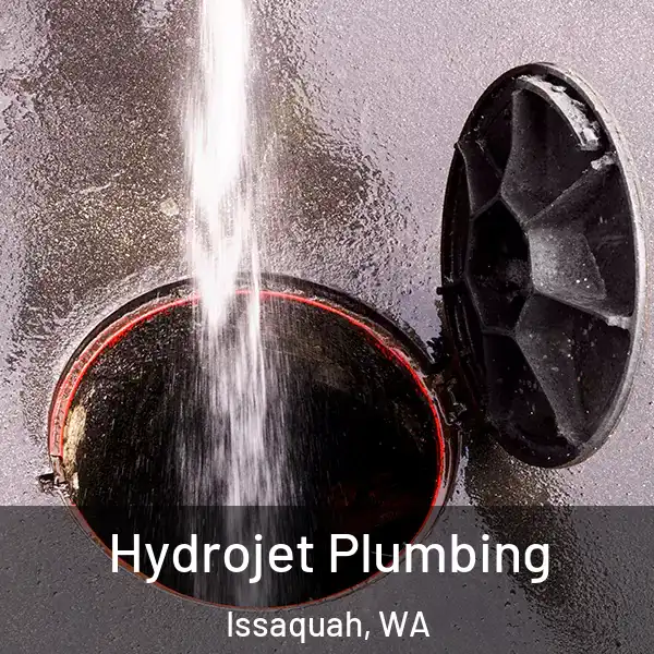  Hydrojet Plumbing Issaquah, WA
