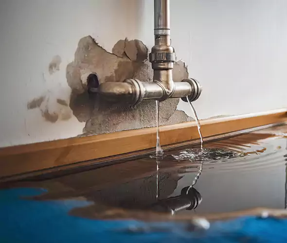 Professional Water Damage Restoration Experts in Issaquah, WA — Fast, Reliable & Certified