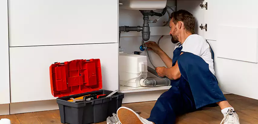 Reliable Garbage Disposal Replacement Services in Issaquah, WA