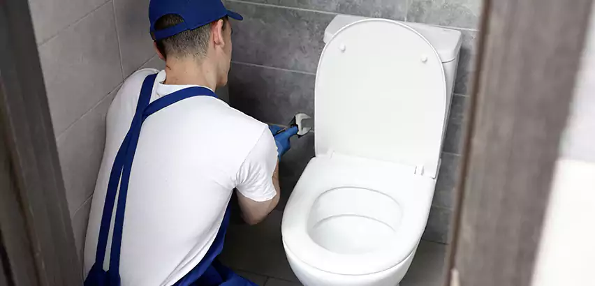 Toilet Lid Replacement in Issaquah