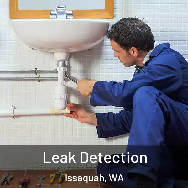  Leak Detection Issaquah, WA