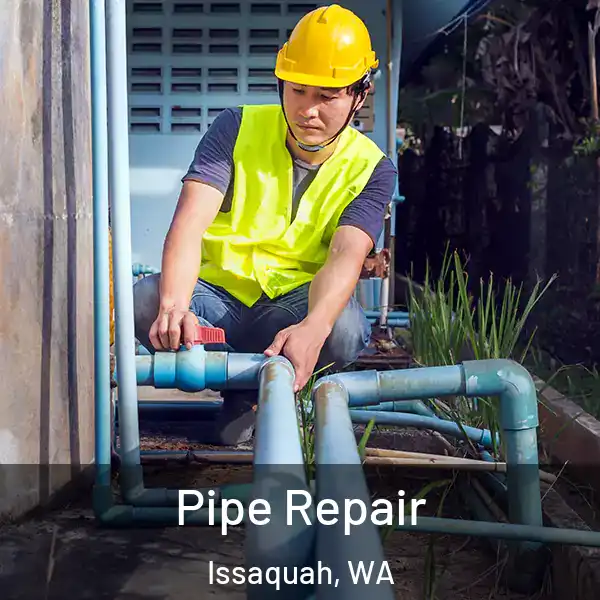  Pipe Repair Issaquah, WA