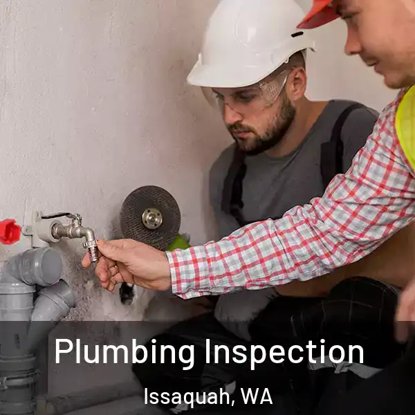  Plumbing Inspection Issaquah, WA