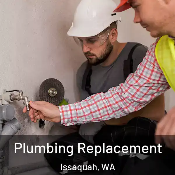  Plumbing Replacement Issaquah, WA