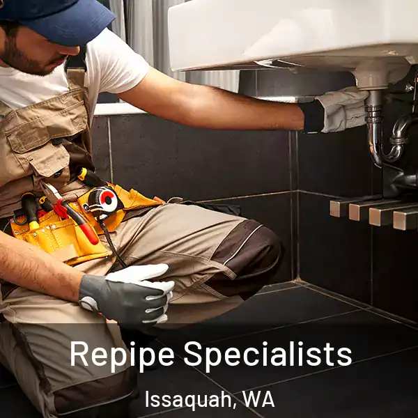  Repipe Specialists Issaquah, WA