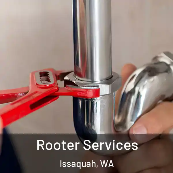  Rooter Services Issaquah, WA