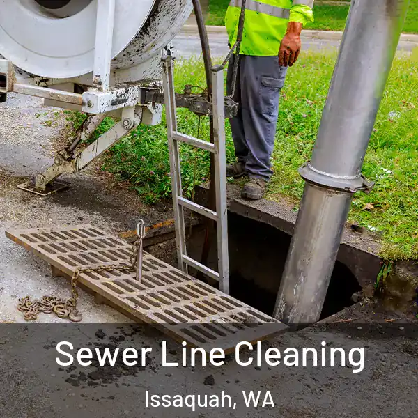  Sewer Line Cleaning Issaquah, WA