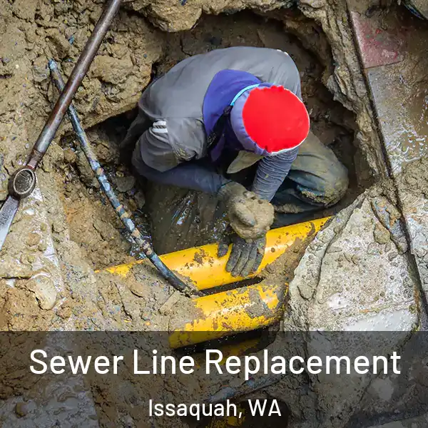  Sewer Line Replacement Issaquah, WA