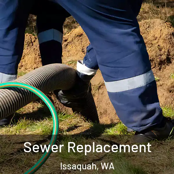  Sewer Replacement Issaquah, WA