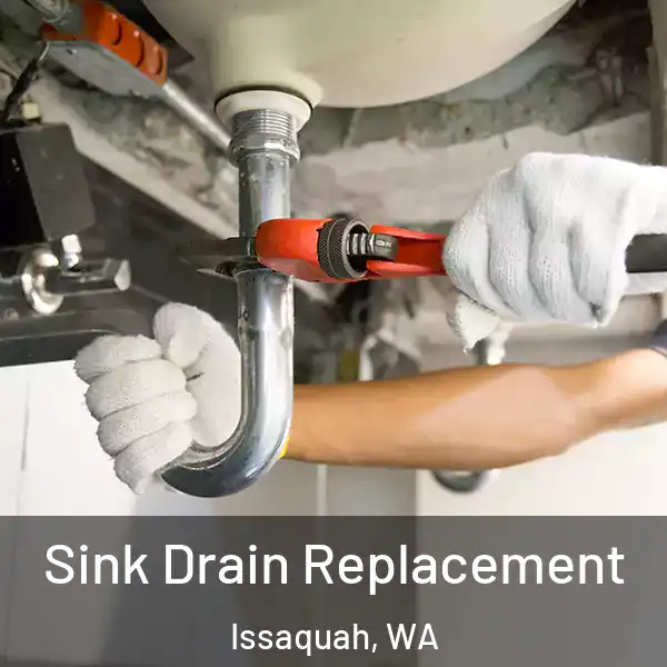  Sink Drain Replacement Issaquah, WA
