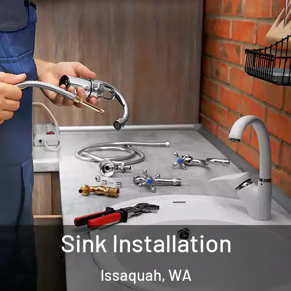  Sink Installation Issaquah, WA