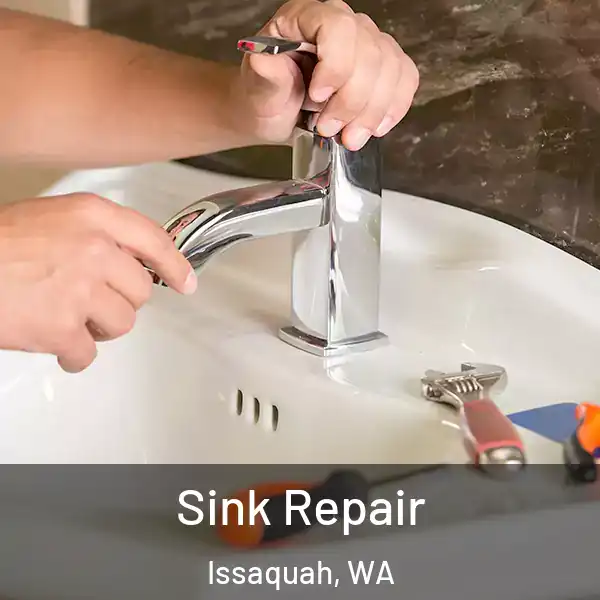  Sink Repair Issaquah, WA
