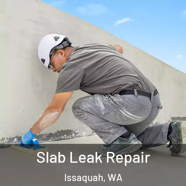  Slab Leak Repair Issaquah, WA