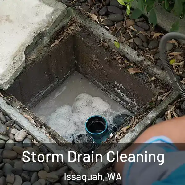  Storm Drain Cleaning Issaquah, WA