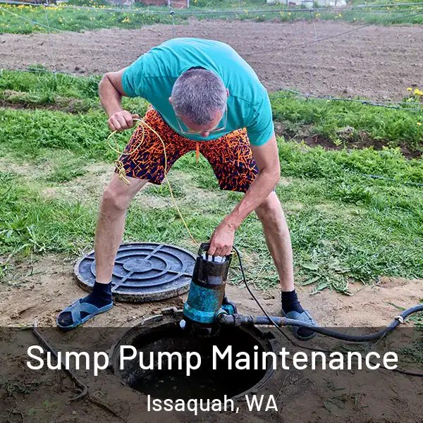  Sump Pump Maintenance Issaquah, WA