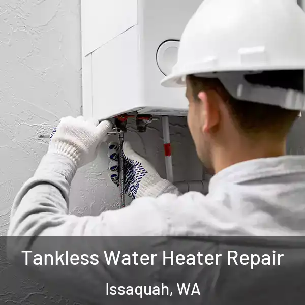  Tankless Water Heater Repair Issaquah, WA