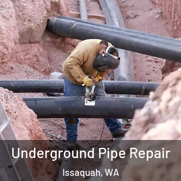  Underground Pipe Repair Issaquah, WA