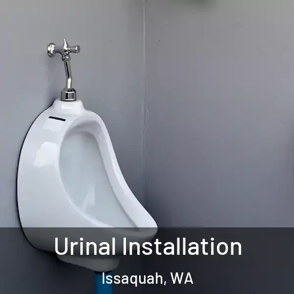  Urinal Installation Issaquah, WA