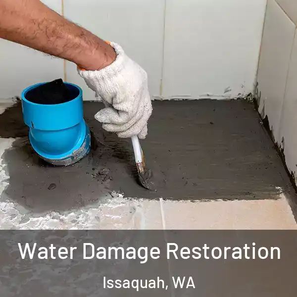  Water Damage Restoration Issaquah, WA