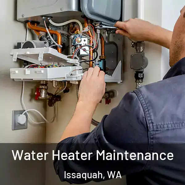  Water Heater Maintenance Issaquah, WA