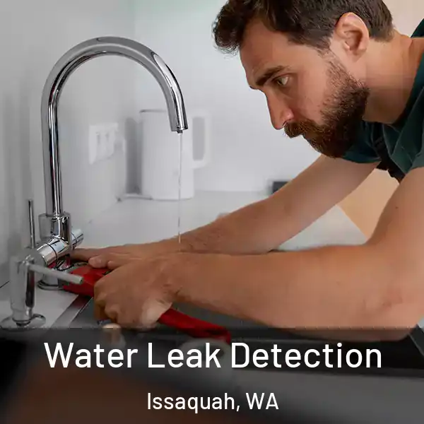  Water Leak Detection Issaquah, WA
