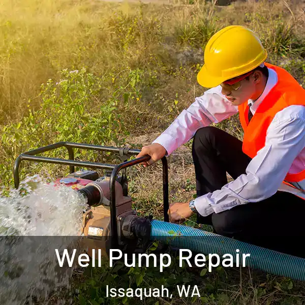  Well Pump Repair Issaquah, WA
